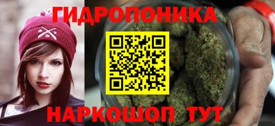 jwh Краснодар