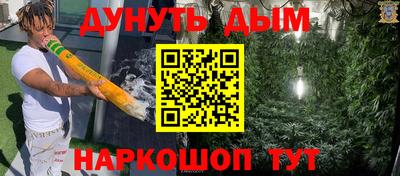 mdpv Краснознаменск