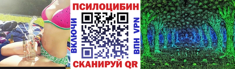 Галлюциногенные грибы Psilocybine cubensis Кашира