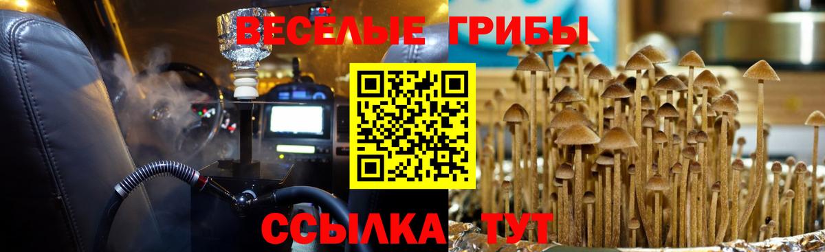 Галлюциногенные грибы GOLDEN TEACHER  Вход с VPN  Кашира 